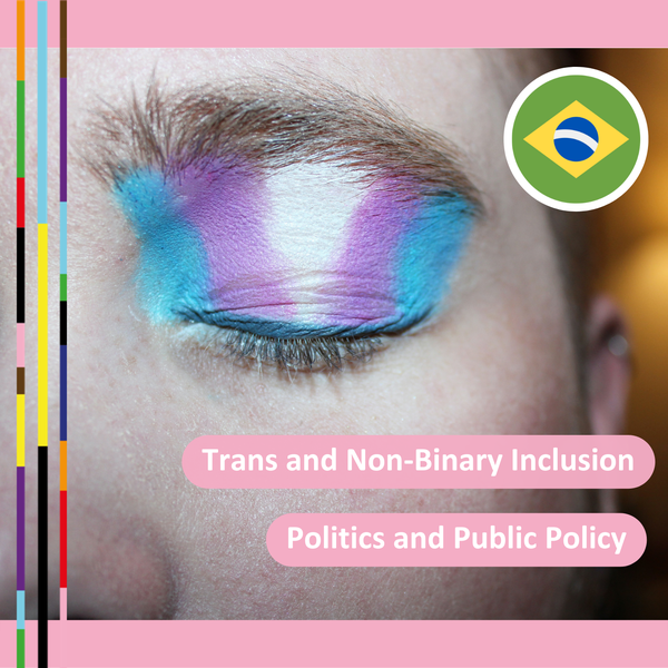 3. Three trans candidates elected to the National Congress of Brazil