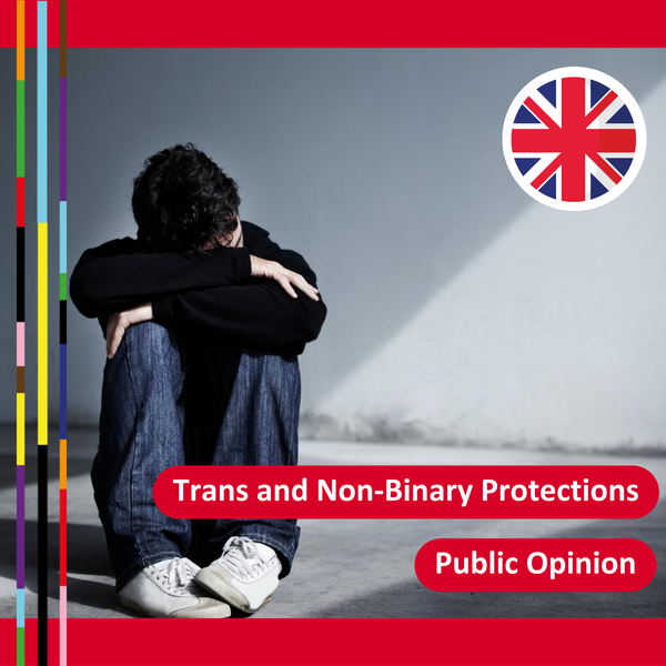 5. The UK ranks as one of the least friendly countries for trans people