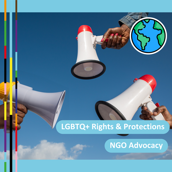 2. Report finds NGO advocacy advances LGBTQ+ protections