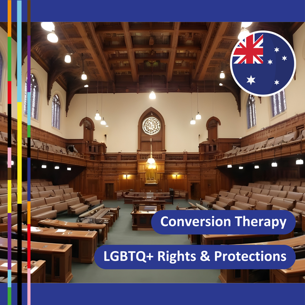 3. New South Wales bans conversion therapy