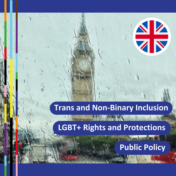 4. New UK Prime Minister appointed raising concerns over the future of LGBT+ protections
